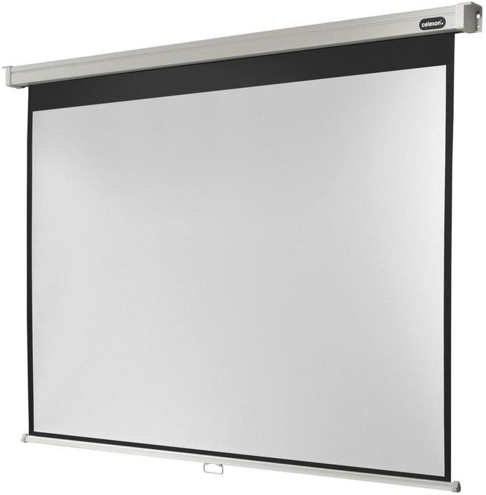 Celexon Rollo Professional, Leinwand, 4:3 (117.17", 4:3)