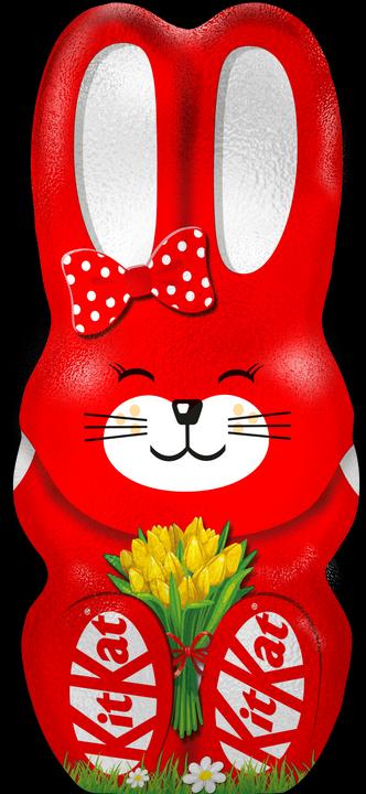 Kitkat Lapin de Pâques (85 g)