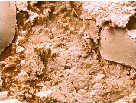 Actual product image MAC Cosmetics Extra Dimension Highlighter (Show Gold, Highlighter, 9 g)
