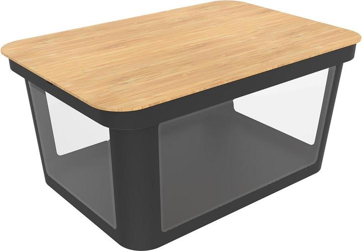 Immagine prodotto Rotho Albris (58 x 39,5 x 1,5 cm, 45 l)