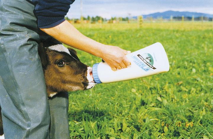 Image du produit Shoof Biberon pour veaux Speedy Feeder, 2,5 l (Chien, 2500 ml)