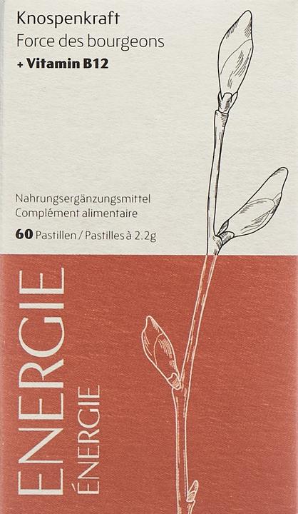 Actual product image Heidak Knospenkraft Pastillen Energie (60 Piece, Pastilles, 287 g)