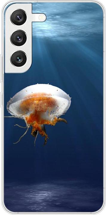 Jellyfish