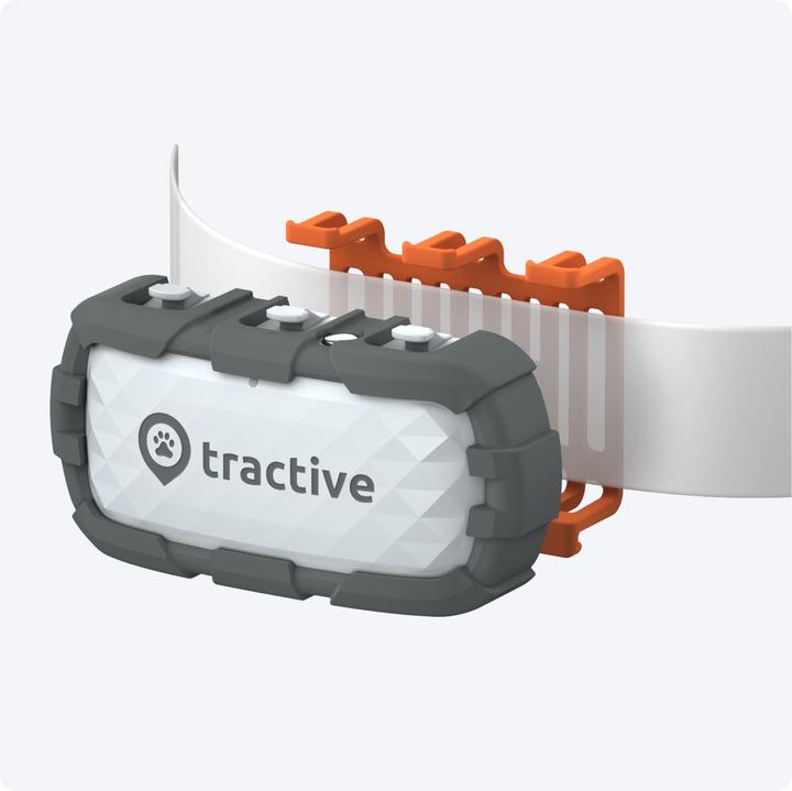 Image du produit Tractive GPS Dog (XL, Chien, Promenade, Jogging, Sport canin)