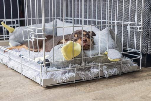 Image du produit Beeztees Cage pour chiots (Chien, Lavable, Réflecteurs)