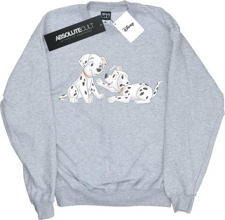 Disney 101 Dalmatians Watercolour Friends Sweatshirt Jungen