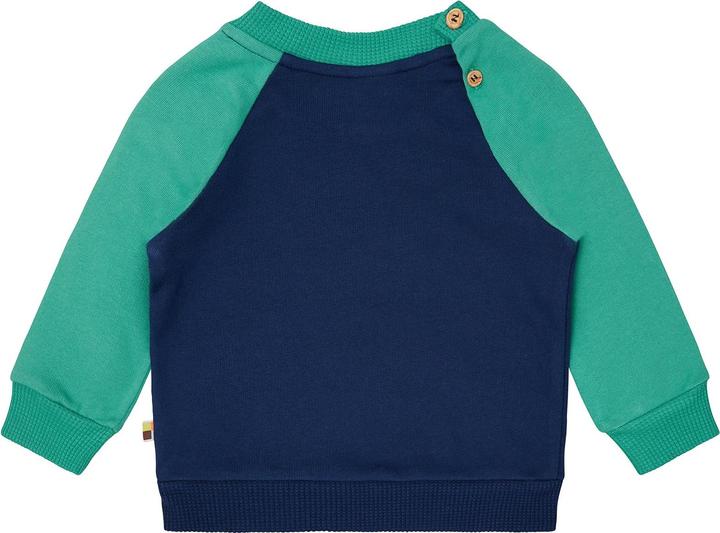 Immagine prodotto loud + proud Felpa con maniche raglan (80)