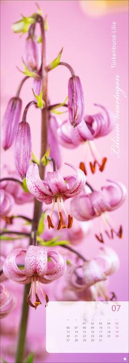 Produktbild Magic Flowers Vertical Kalender 2026 (24,5 x 69 cm, Harter Einband, Deutsch)