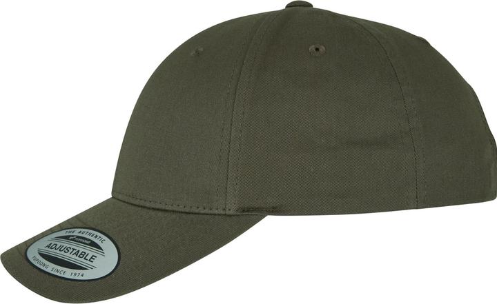 Actual product image Flexfit Curved Classic Snapback - 1666 (One size)