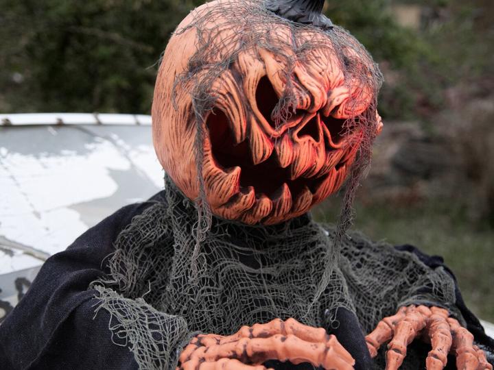 Actual product image Europalms Halloween pumpkin monster