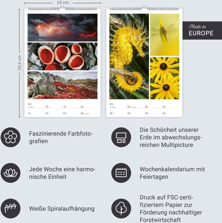 Produktbild Harenberg Magie der Farben Wochenplaner 2026 (Harter Einband, Deutsch)