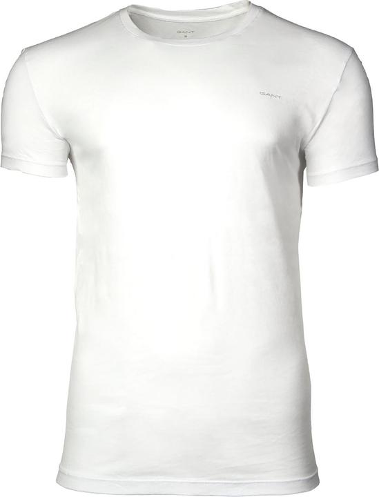Actual product image GANT C-NECK T-SHIRT 2-PACK (L)