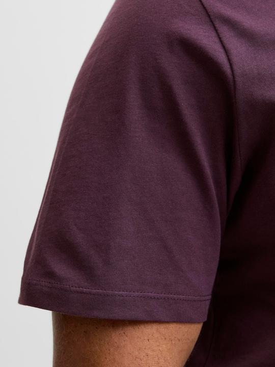 Actual product image Jack & Jones Jjelogo Tee Ss Oneck 2 Col Aw25 Noos Pls (4XL)