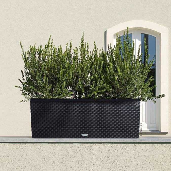 Produktbild Lechuza Trio Cottage (42 cm)