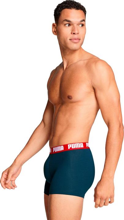Actual product image Puma Men Everyday Basic Boxer 2p (L, pack of 2)