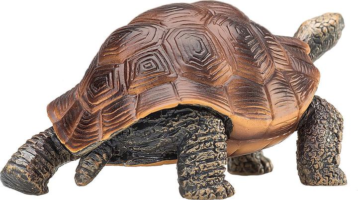 Produktbild Animal Planet Riesenschildkröte