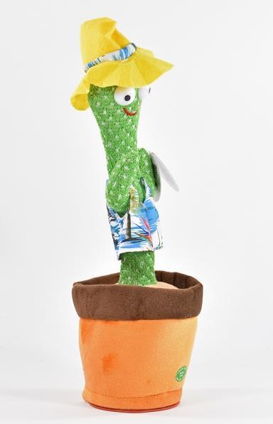 Immagine prodotto Kögler Cactus danzante (34 cm)