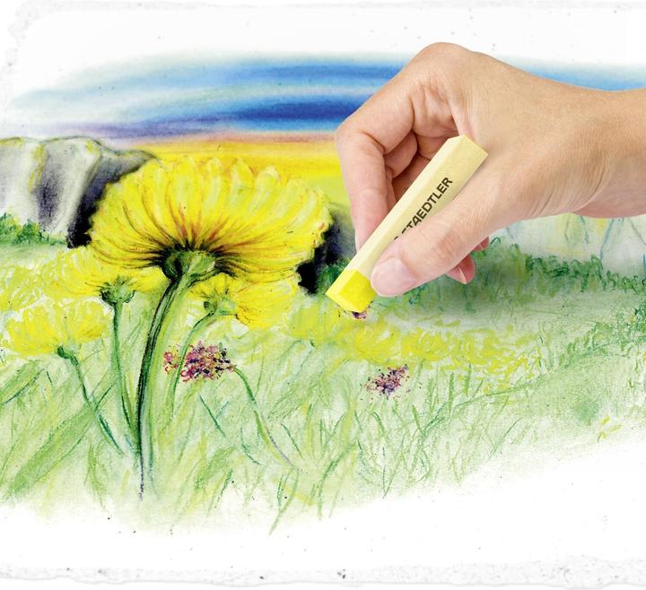 Produktbild Staedtler 2430 Soft-Pastellkreide Kartonetui mit 36 Stück, sortiert (Sortiert, 36 x)