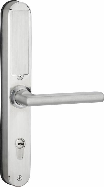 Actual product image Thirard Electronic door handle "multi" ea85mm - silver finish
