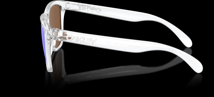 Immagine prodotto Oakley Frogskins