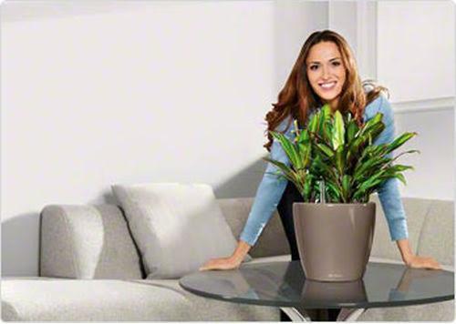 Produktbild Lechuza Classico (22 cm)