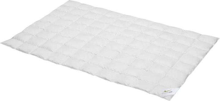 Actual product image BettwarenShop Select (240 g, 135x200 cm)