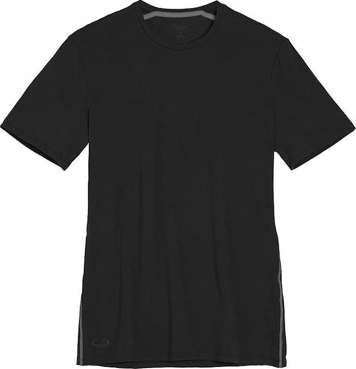 Icebreaker Anatomica SS