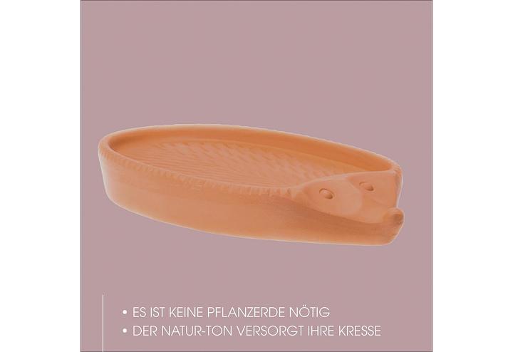 Produktbild Römertopf Kresse-Igel