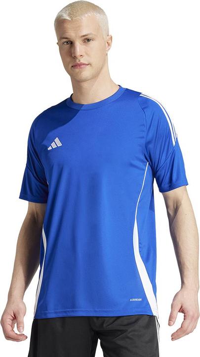 Actual product image adidas TIRO24 JSY (XS)