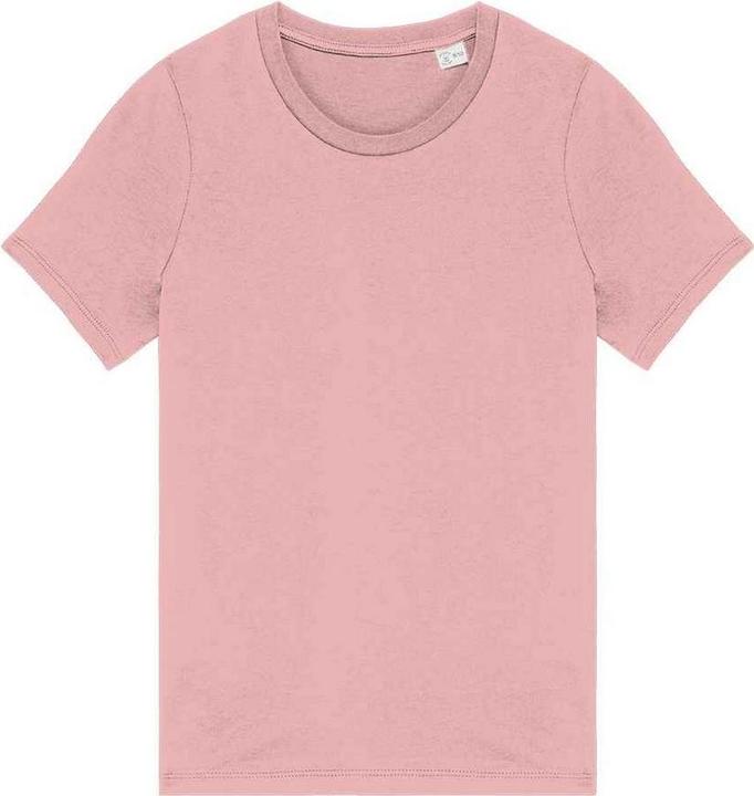 Native Spirit TShirt