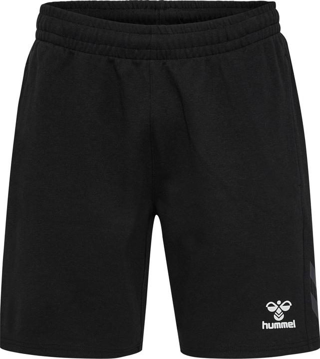 Actual product image hummel Hmltravel Shorts (M)