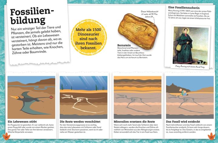 Immagine prodotto Dinosaurier (Tedesco, DK Verlag - Bambini, Preside Lomax, Eva Sixt, 2021)
