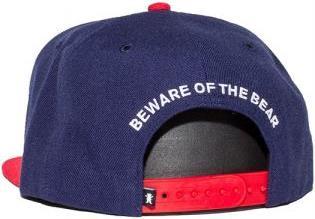 Actual product image Grizzly Top team snapback (One size)