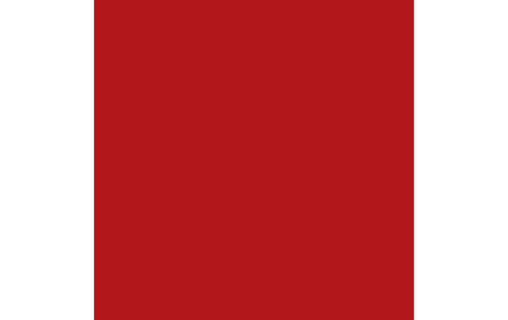 Productafbeelding Amsterdam Acryl (Naftol Rood Donker, 120 ml)