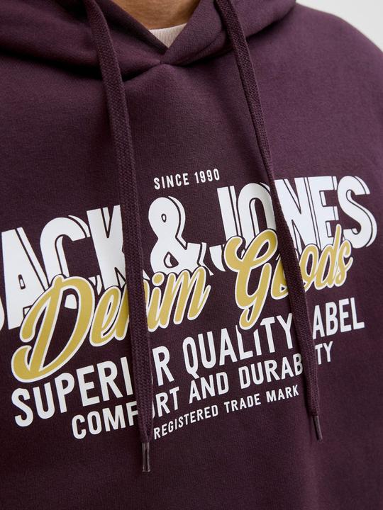 Immagine prodotto Jack & Jones JJELOGO SWEAT HOOD 2 COL 25/26 NOOS (XS)