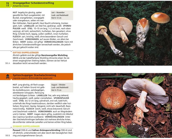 Produktbild Kosmos Essbare Pilze und ihre giftigen Doppelgänger (Deutsch, Andreas Gminder, Hans E. Laux, 2022)