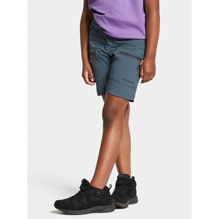Actual product image Didriksons Kid's Ekoxen Shorts 2 (110)