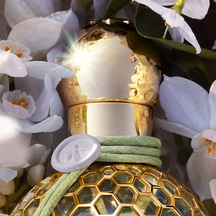Immagine prodotto Guerlain AQUA 23 Nerolia Vetiver Harvest Eau de Toilette 125 ml (Eau de toilette, 125 ml)