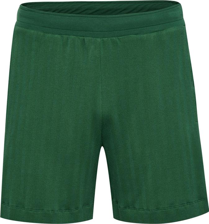 Actual product image hummel Hmlarchive Regular Shorts (S)