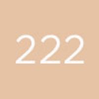 Actual product image Diego dalla Palma Geisha Lifting Fond de Teint No 222 (222)