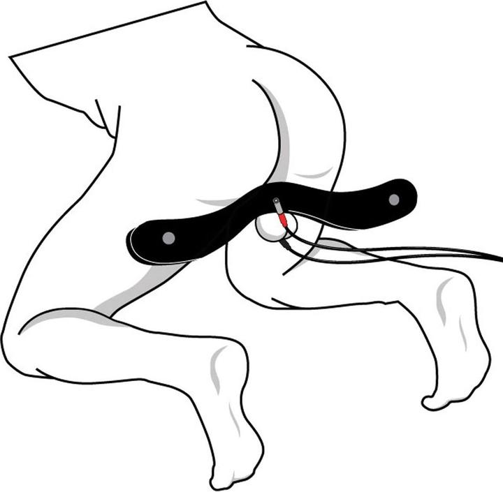 Image du produit XR Brands E-Stim Humbler