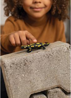 Actual product image Schleich Fire salamander
