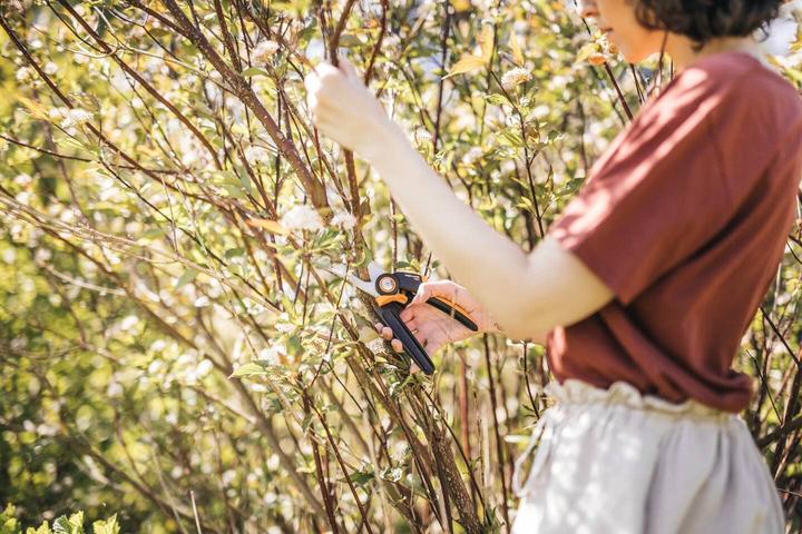 Produktbild Fiskars M P921 Astschere Bypass /Orange
