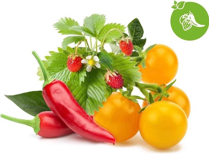 Produktbild Click and Grow Intelligente Fruchtmischung