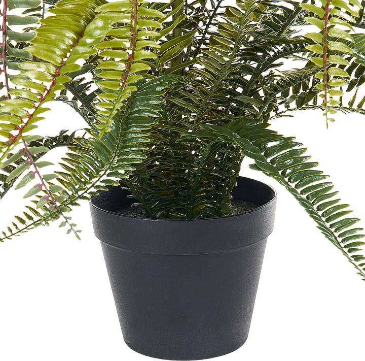 Produktbild Beliani Fern Leaf Plant (105 cm)
