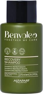 Alfaparf Benvoleo Recovery Shampoo for Damaged Hair 9.3 FL. Oz.