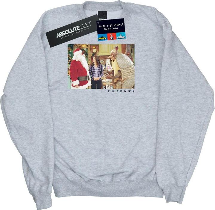 Friends The Holiday Armadillo Sweatshirt (S)
