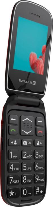 Immagine prodotto Evelatus WAVE 2020 DS EW02RD (2.40", 0.30 Mpx)