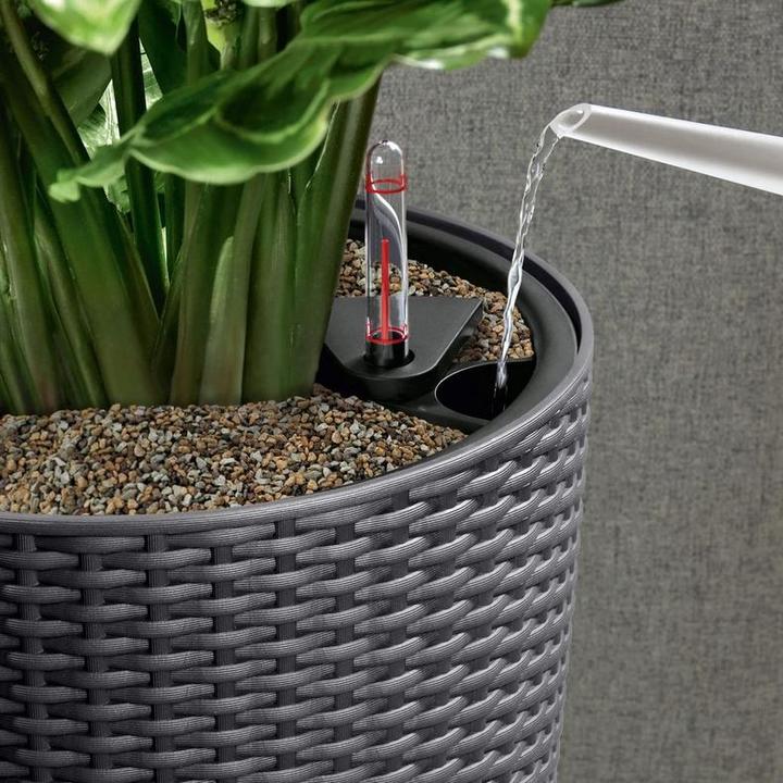 Actual product image Lechuza CILINDRO Cottage 23 (23 cm)