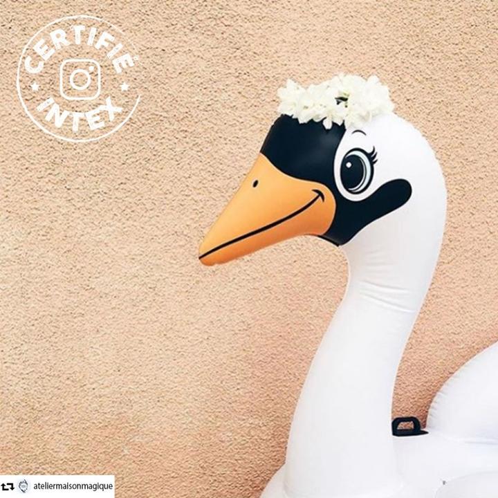 Actual product image Intex Swan ride-on